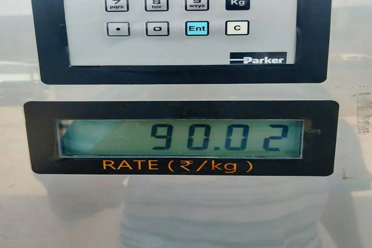CNG Price