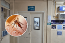 Damoh District Hospital