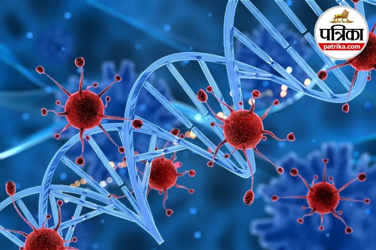 Cancer, Cancer Cells, Cancer Types,