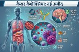 Cancer Treatment News,