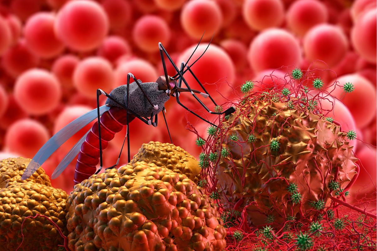Rajasthan Confirms 2 Chandipura Virus Deaths in Children