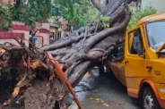 Mumbai tree collapse, Chembur accident, Sanjay Shirsat statement, Maharashtra minister, school bus accident, Vihaan Shrivastav, Mumbai rain, BMC tree audit,