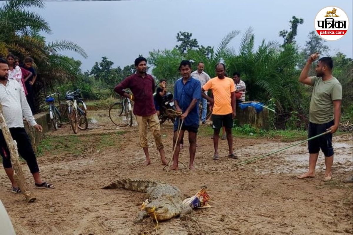 Chhattisgarh News
