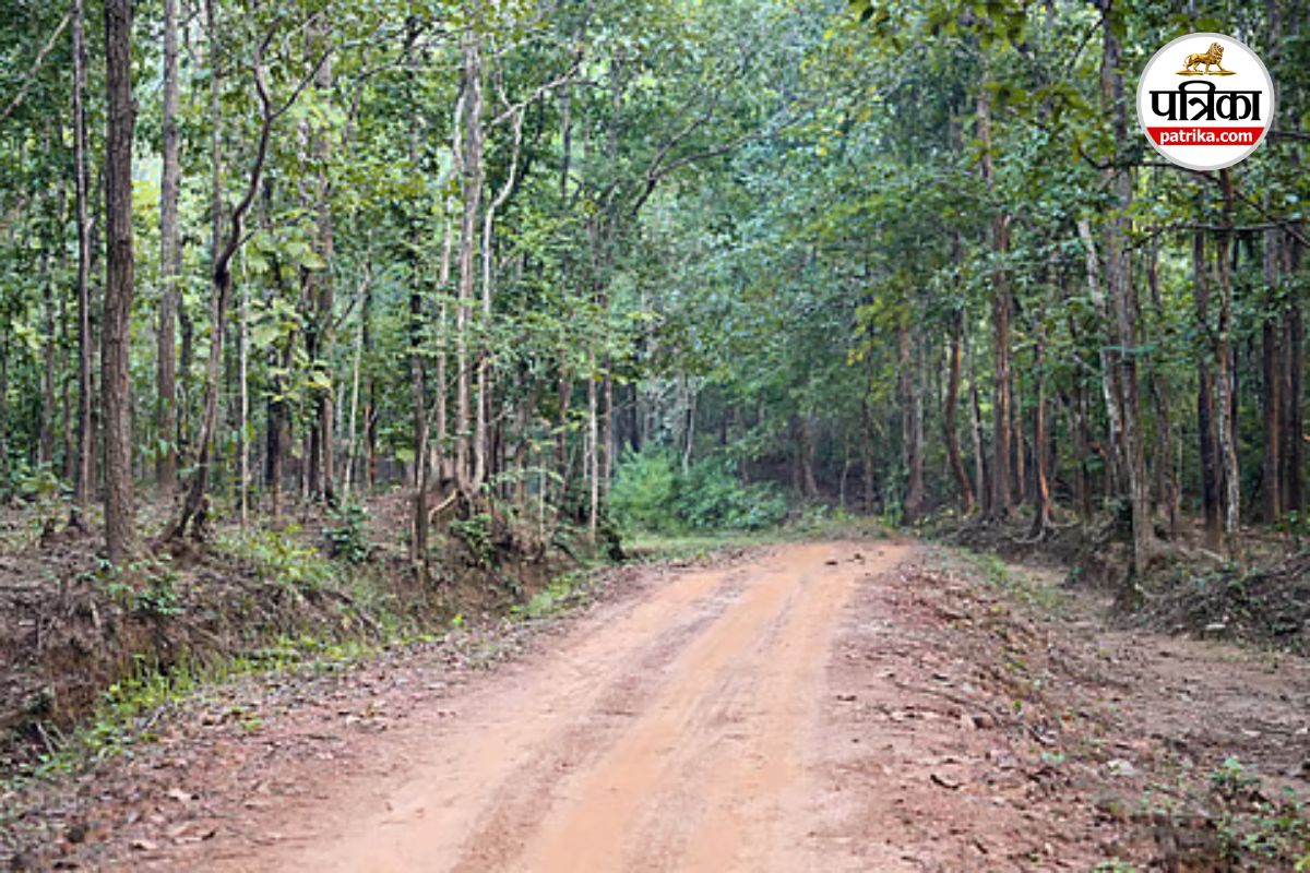 Chhattisgarh Land Scam