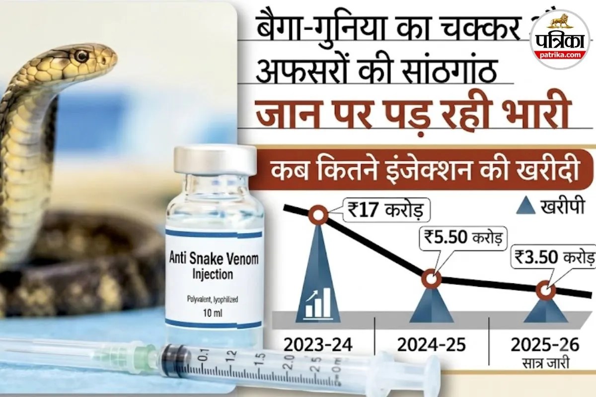 Snake Bite Medicine Supply