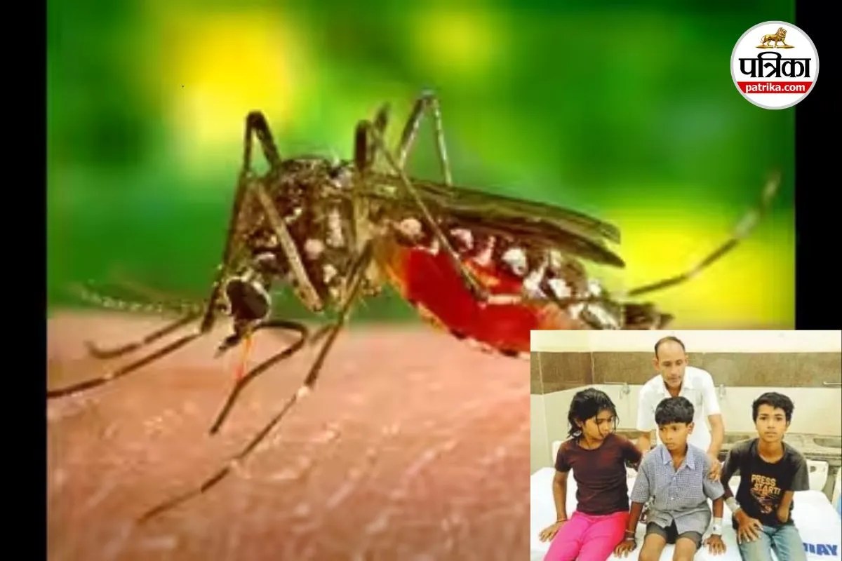 Malaria in Bilaspur