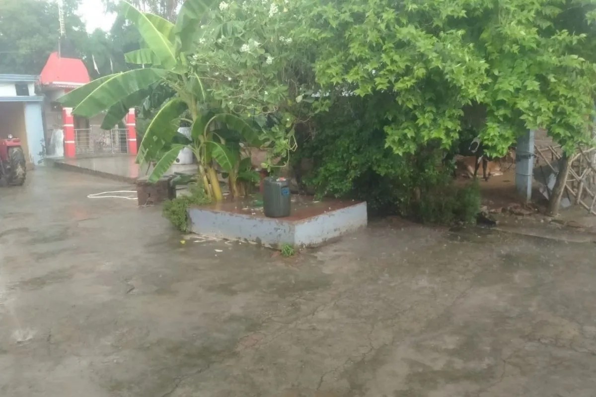Gonda Weather