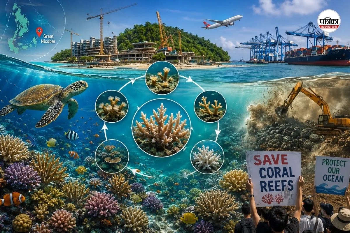 why coral reefs are important, andaman and nicobar mega project