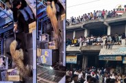 Panther Attack in Tonk Rajasthan