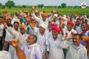 Rajasthan crop insurance big change within 7 days give policy mandatory