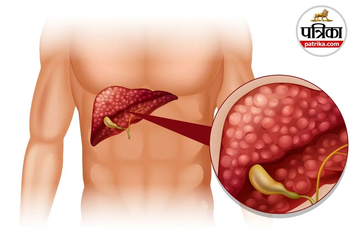 Cystic Duct, Cystic Duct Function, Gallbladder, Bile Duct,
