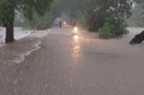 Dabhoi road