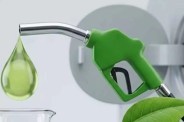 E-25 Petrol