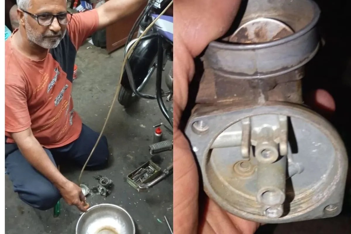 E20 Petrol Impact