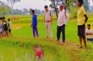 Farmer death
