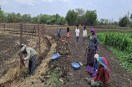 Neemuch Breaking News