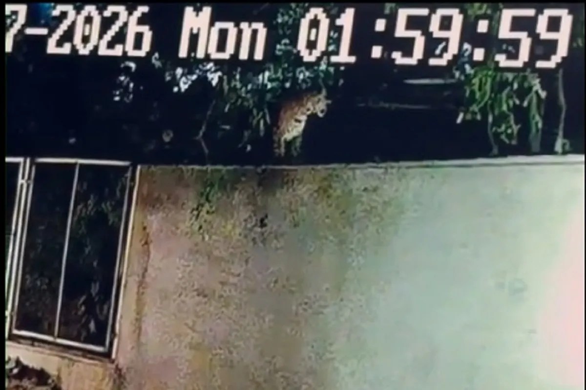 CCTV Footage