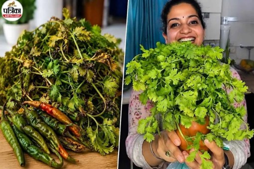 Fridge Storage Tips, Hari Mirch Aur Dhaniya Freash Rakhne Ke Tips