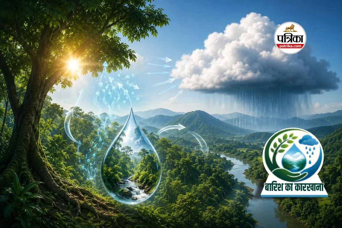 How Trees Make Rain