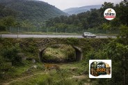 Human wildlife conflict tiger corridors