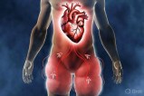 Inflammation Heart Attack Risk
