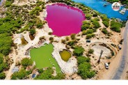 Jodhpur Tanawada Village Pink Pond Water Contamination NEERI Probe