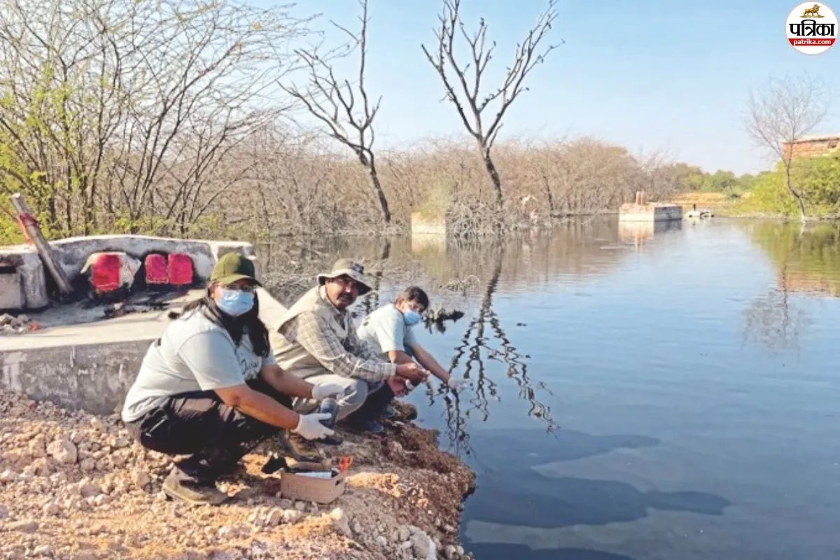 Jodhpur Jojari River