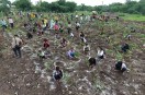 Harit Pradesh