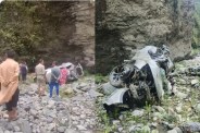 Kullu Anni road accident