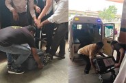 Live Heart Transport