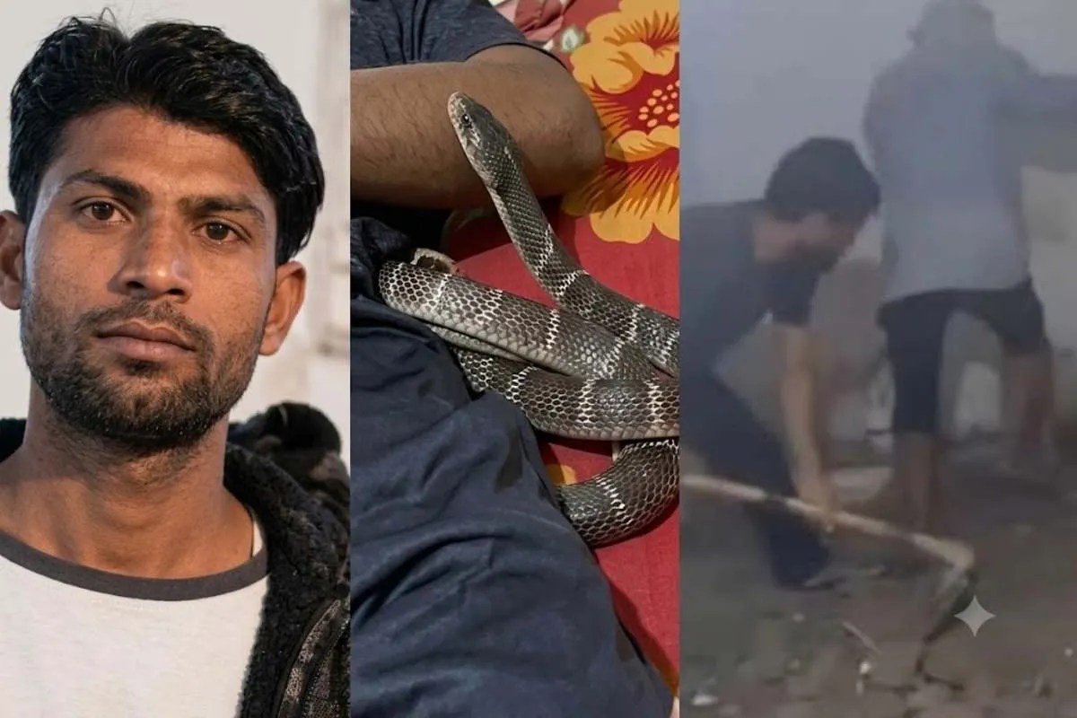 up most talked about wife crime cases snake bite electric shock