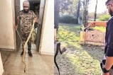 Monsoon Snake Alert Jaipur