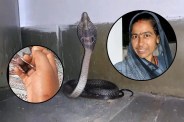 Snake bite: सीमा की सांप के काटने से मौत (Photo Source - Patrika)