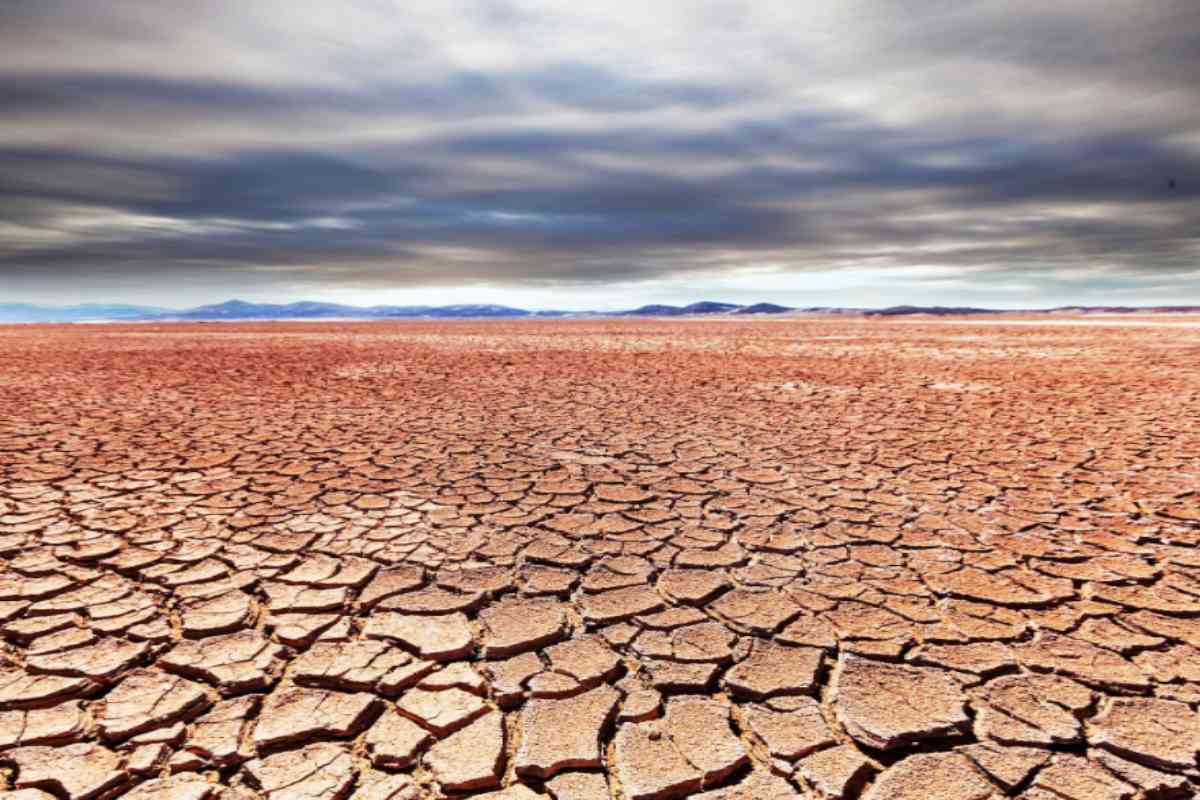 MP Monsoon: एमपी में सूखे जैसे हालात (Photo Source - freepik)