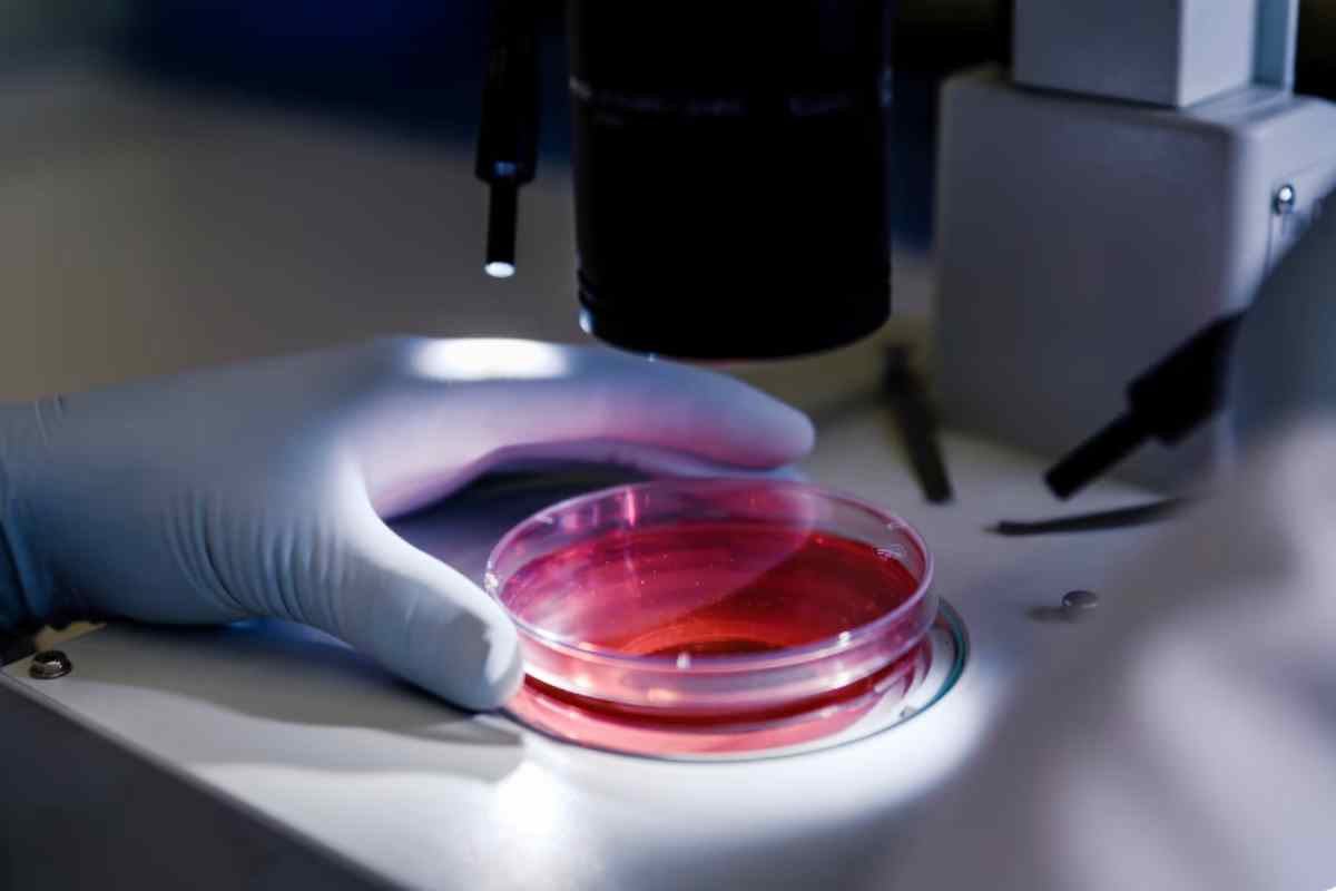 Cancer diagnosis: इंदौर को मिली हाईटेक कैंसर लैब (Photo Source- freepik)