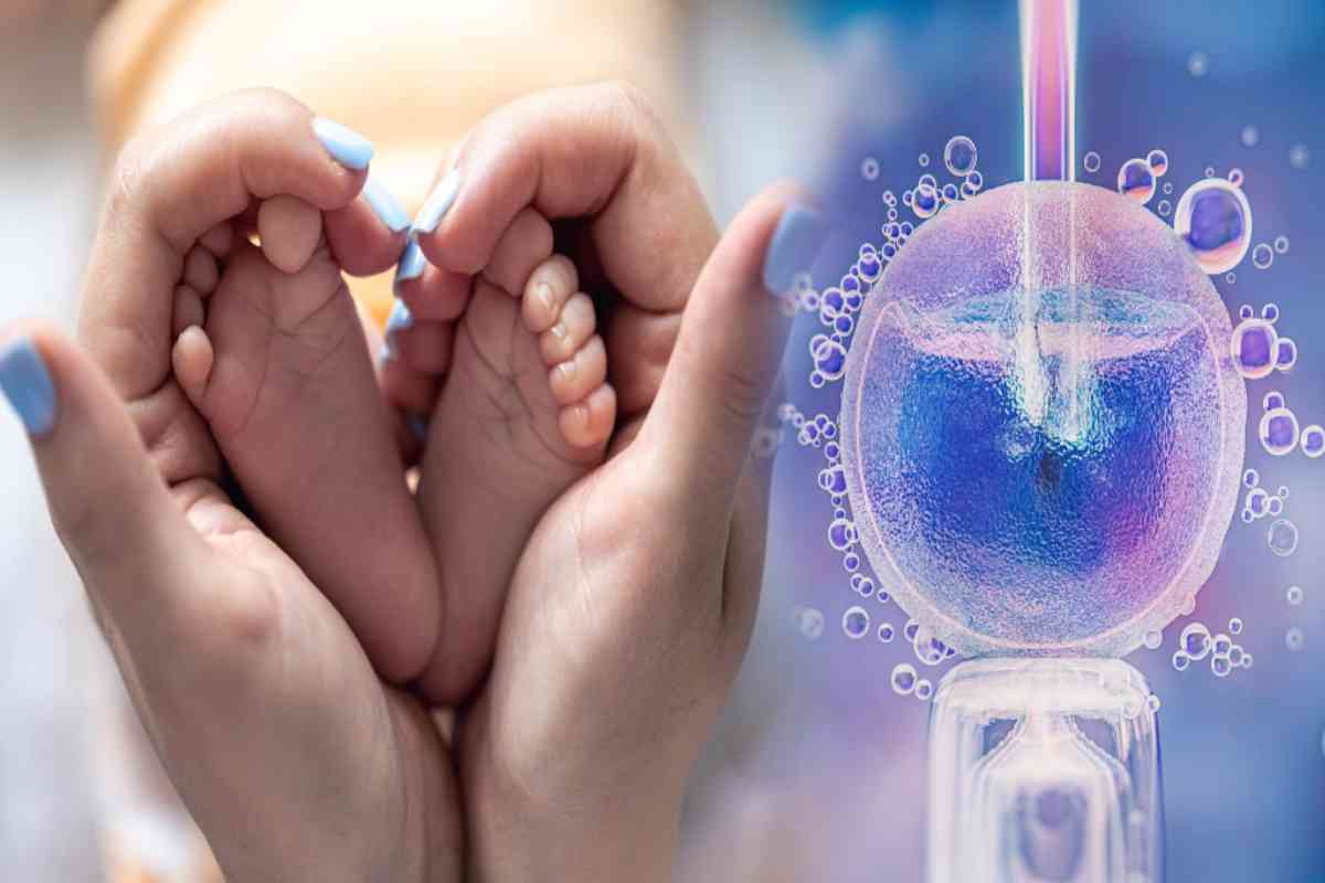 Approval for IVF:हाइकोर्ट का ऐतिहासिक फैसला (Photo Source - freepik)
