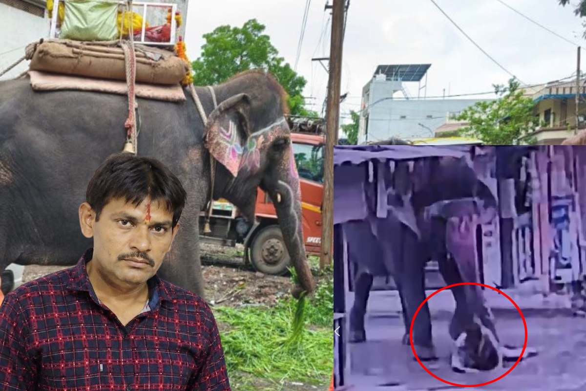 Elephant tramples auto driver: हाथी को गुड़ खिलाया, उसी ने मार डाला (Photo Source - Patrika)