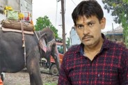 हाथी को गुड़ खिलाना पड़ा भारी