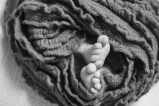 Granddaughter murdered: दादी को गिरफ्तार करके केस दर्ज (Photo Source - Patrika)