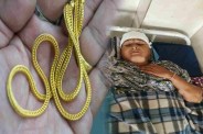 Gold chain snatched: स्वास्थ्य विभाग की कर्मचारी से चेन स्नेचिंग (Photo Source - Patrika)