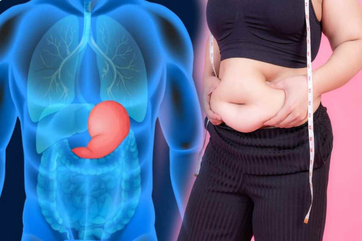 Health news:पेट की चर्बी से पहचानेंगे डायबिटीज (Photo Source- freepik)