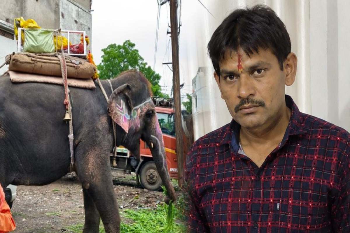 Elephant tramples auto driver:लाइसेंस की होगी जांच (Photo Source - Patrika)