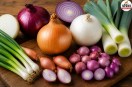 Different Types Of Onions, Best Onion For Cooking