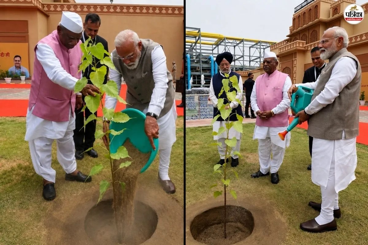 PM Modi Rajasthan Visit Controversy Over Peepal Khejri Plantation in Pachpadra