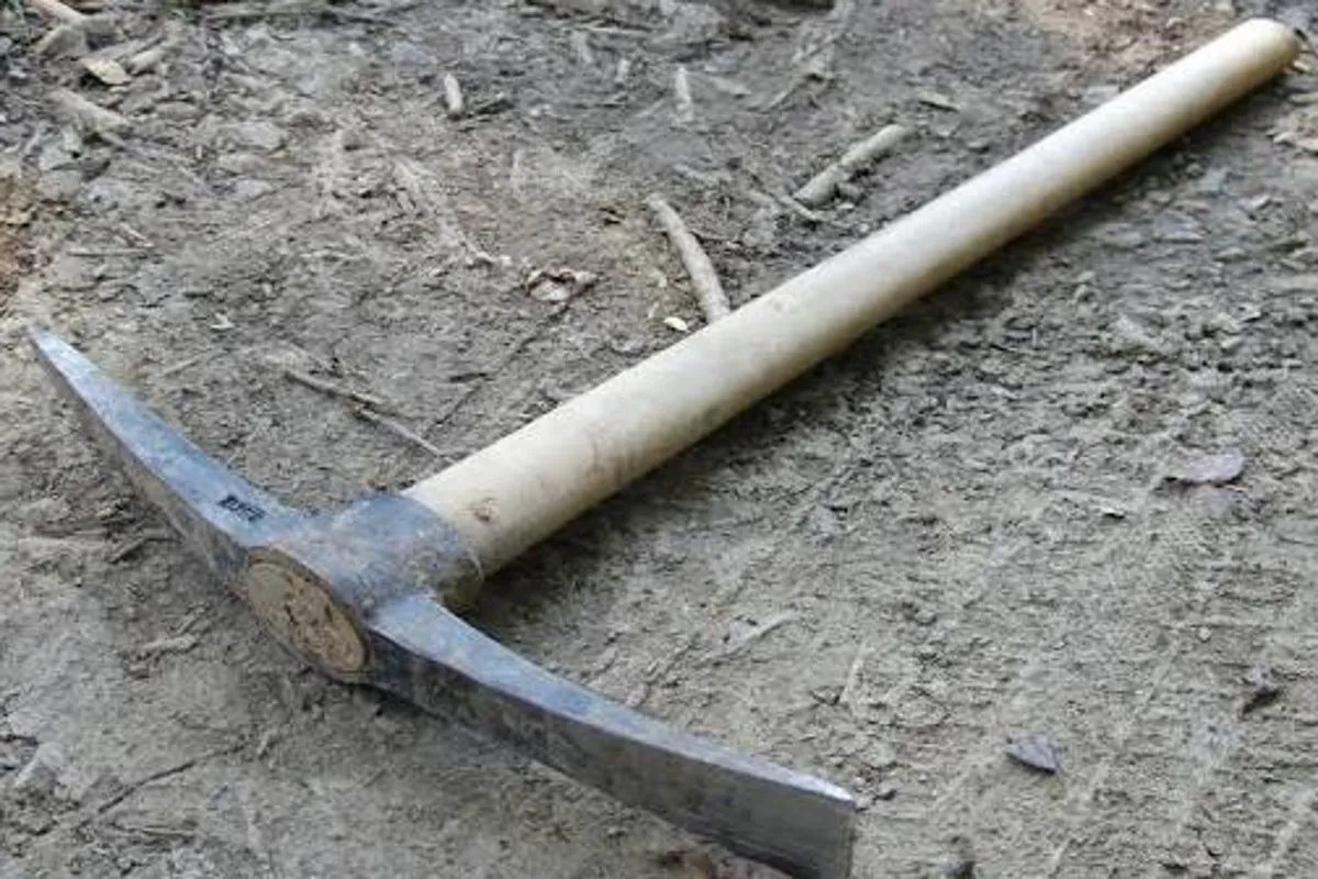 Murder in Surguja