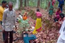Balrampur road accident