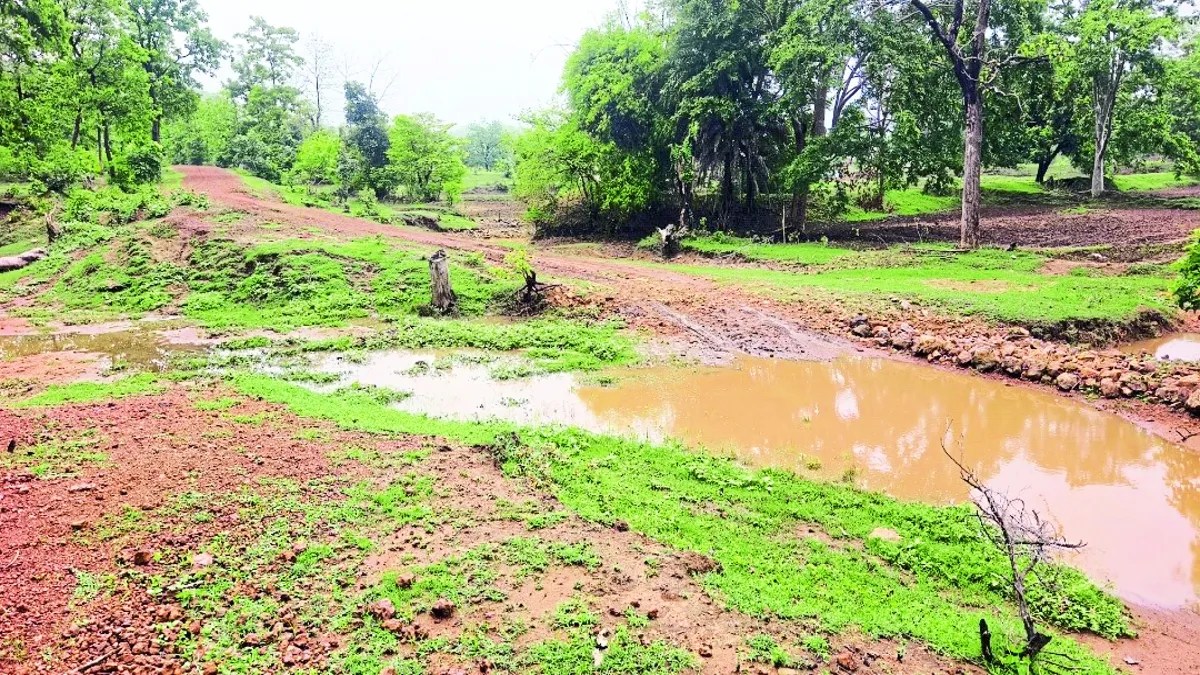 डीएफओ ने कहा कि गांव की स्थिति के बारे में पत्रिका के माध्यम से जानकारी मिली। इसके बाद तत्काल मामले को संज्ञान में लिया और इस गांव के पूरी स्थिति की जानकारी मंगाई।