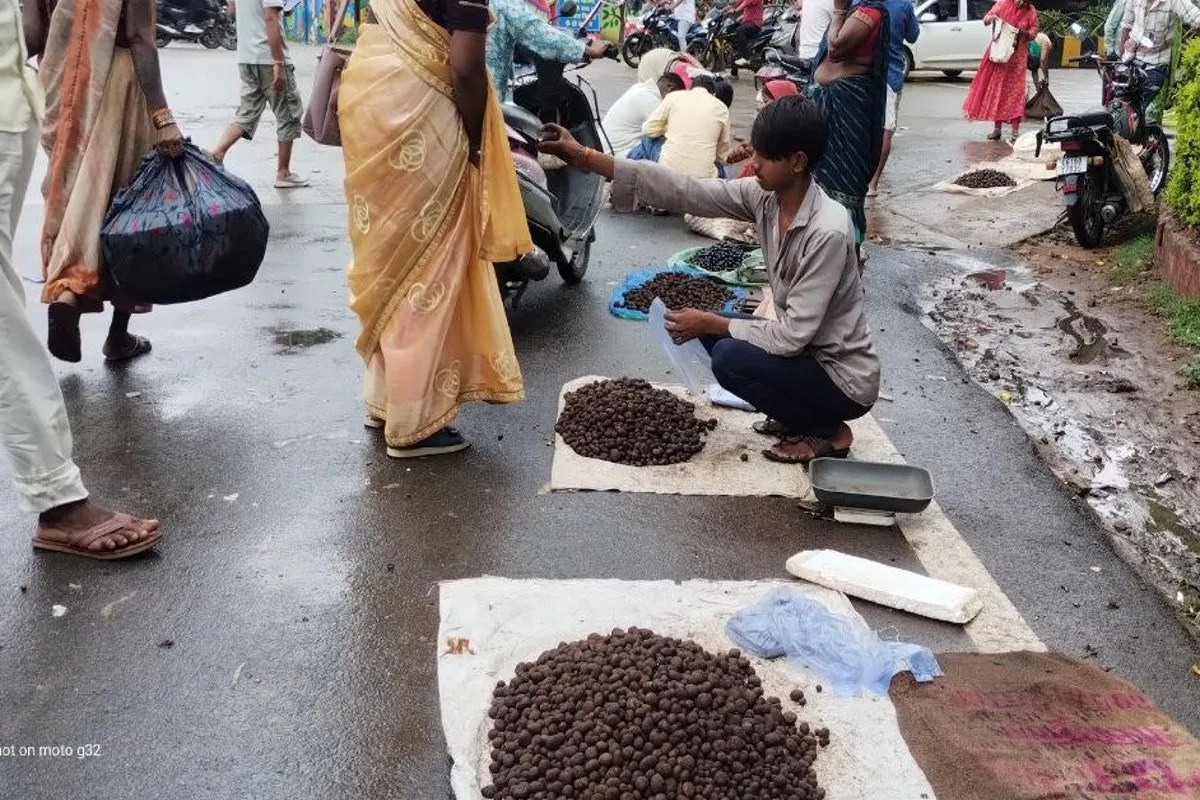 Chhattisgarh expensive vegetable