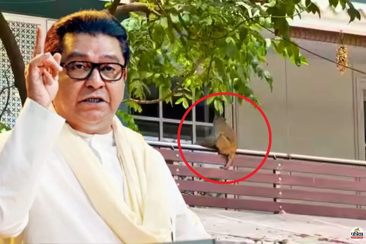MNS Chief Raj Thackeray House Dadar