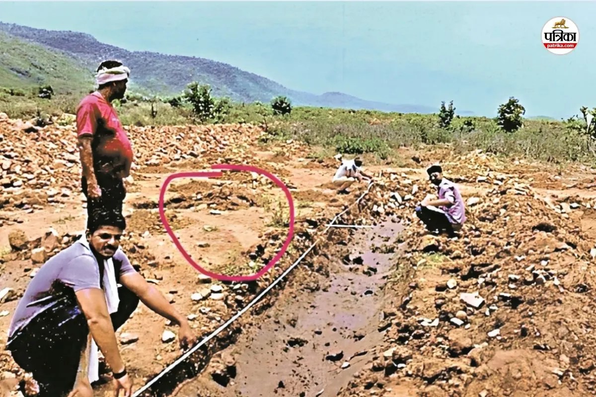 Rajasthan Forest Scam